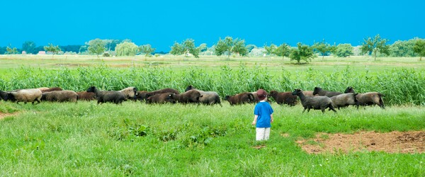 Header image: Dein Freiwilliges Jahr in Schleswig-Holstein!