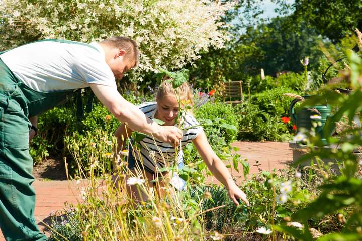 Bild zum Thema Soziales