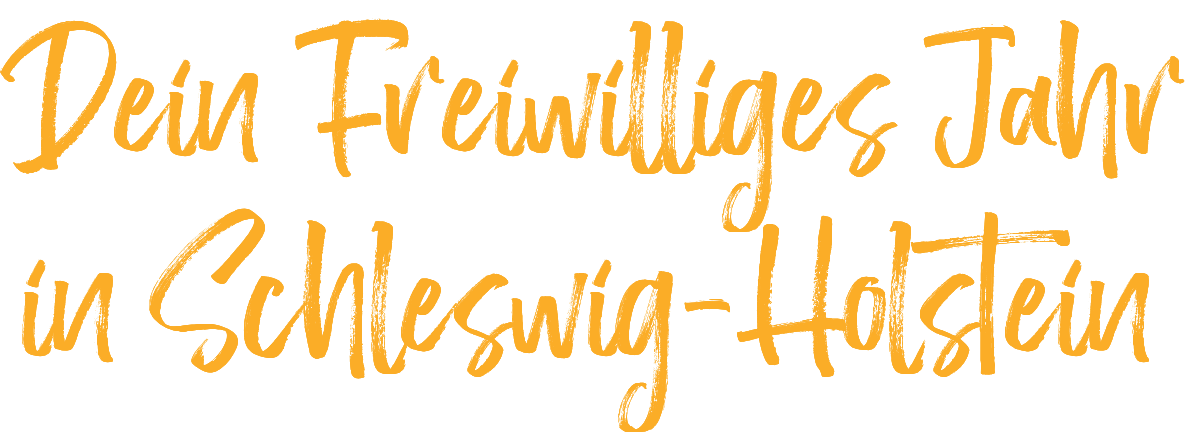 Dein Freiwilliges Jahr in Schleswig-Holstein 